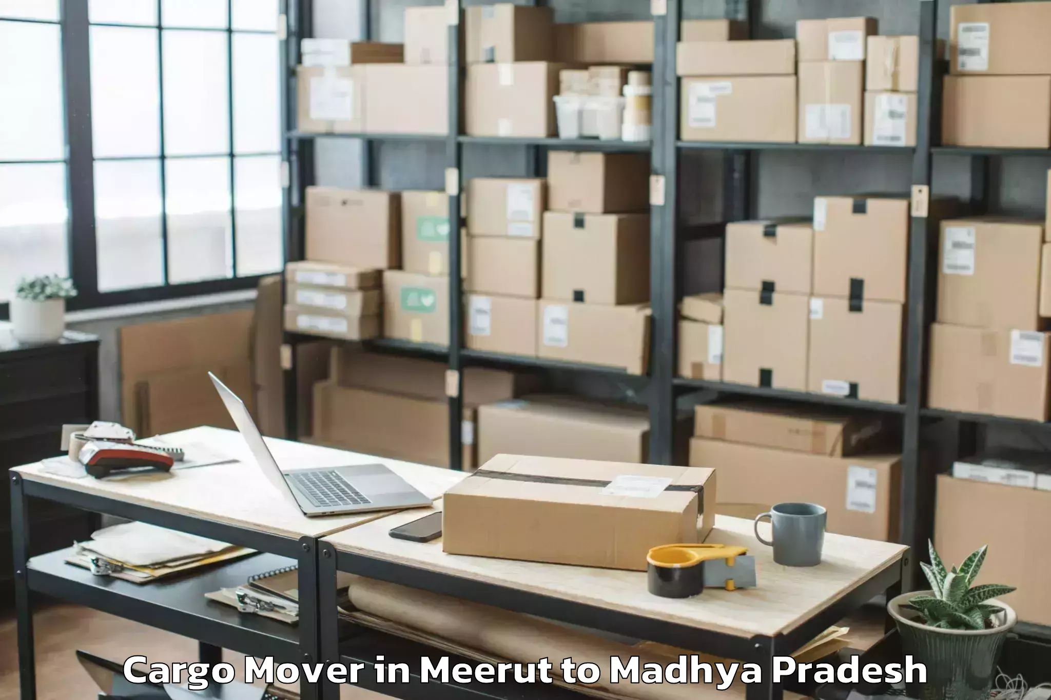 Book Meerut to Satna Cargo Mover Online